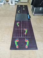Système d'analyse 3D du pied et de la pression gaitière à prix d'usine avec interface USB pour la correction de la posture