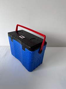 Dispositivo di raffreddamento in plastica HS 9Lor 21L EPP Ice Chest Cooler con maniglia Keep Cold and Warm box con logo promozione chill chest - Product Image 5