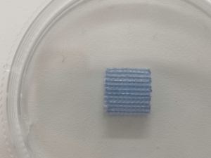 Stampa <span class=keywords><strong>3D</strong></span> Bio per Scopi di Ricerca con Stampanti <span class=keywords><strong>3D</strong></span> Bio PCL/PLGA, Stampante <span class=keywords><strong>3D</strong></span> per <span class=keywords><strong>Figure</strong></span> Umane - Product Image 4