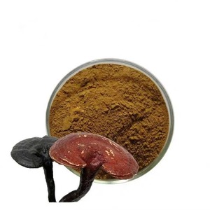Vendita calda naturale ingrediente integratore a base di erbe Trametes Robiniophila estratto in polvere - Product Image 3