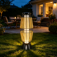 Lampes solaires décoratives pour allées de jardin, étanches, à LED, alimentées par l'énergie solaire, pour pelouse, patio, cour, aménagement paysager