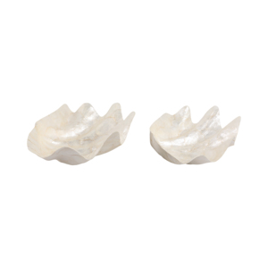 Ciotola decorativa a forma di conchiglia per decorazioni da tavolo e bancone, centrotavola - Product Image 3