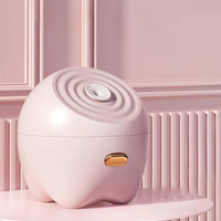 Máquina de vapor facial Nano portátil Equipo de salón de spa de limpieza profunda eléctrica con método de pulverización y niebla de enchufe de EE. UU.