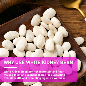 Private Label White Kidney Bean Gummies with White Kidney Bean Extract Appetite Supports Carb Control Rich in Antioxidants - Product Image 6
