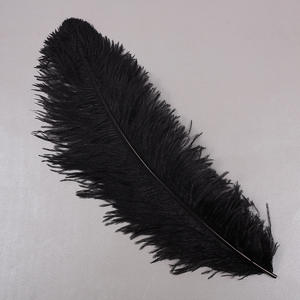 Plume d'autruche plumes d'autruche colorées 70-75cm pour la décoration de robes de mariée de fête - Product Image 5