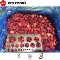 Grosir Stroberi Beku IQF dalam Jumlah Besar Harga Stroberi Beku Kompetitif untuk Jus Selai