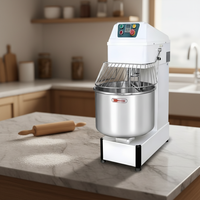 Mélangeur à spirale électrique professionnel en acier inoxydable 1500W haute puissance pour usage intensif en restauration, avec moteur puissant et capacité variable pour la farine de blé