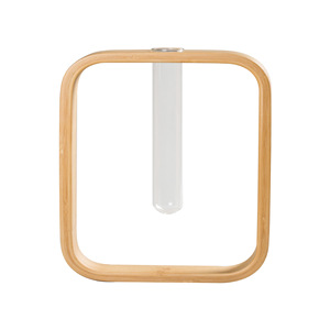 Juego de Jarrones Hidropónicos de Bambú, Redondos y Cuadrados, Decoración de Escritorio, Estilo Minimalista, Porta Plantas - Product Image 5