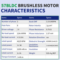 Moteur CC sans balais RB 57 mm, haute puissance, couple élevé, 1100 mN.m, 12 V 24 V, BLDC circulaire