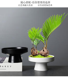 <span class=keywords><strong>Assiette</strong></span> à fruits en céramique, Pot de fleur à pieds bol de service de bonbons <span class=keywords><strong>assiette</strong></span> d'amuse-gueule plats à salade de Dessert pour la maison - Product Image 5