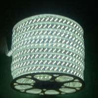 Tiras de Luces LED de Alta Calidad 5050-96, Tiras de Luces LED Flexibles a Prueba de Agua 220v-240v