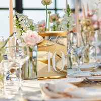Cartes de table et de plateau personnalisées en acrylique doré miroir givré haute transparence pour mariages et conférences, autres formes