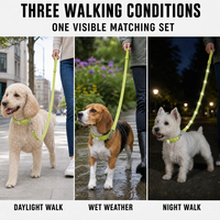 Collier pour chien en caoutchouc PVC avec étiquette privée, longue laisse, ligne réfléchissante blanche, résistant aux intempéries pour chiens