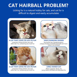 Pâte nutritionnelle pour la perte de poids et la prévention de la perte de poils chez le <span class=keywords><strong>chat</strong></span>, santé de la peau et du pelage, santé digestive, toutes races - Product Image 2