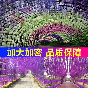 Guirlandes de fleurs artificielles de glycine 100cm-200cm, décoration suspendue pour mariage, maison, plafond, arche, verdure, fleurs en soie violettes - Product Image 4