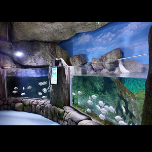 UV Protected High Impact Durable <strong>Rectangular</strong> Rainforest Landscaping <strong>Acrylic</strong> Fish Tank - Product Image 4