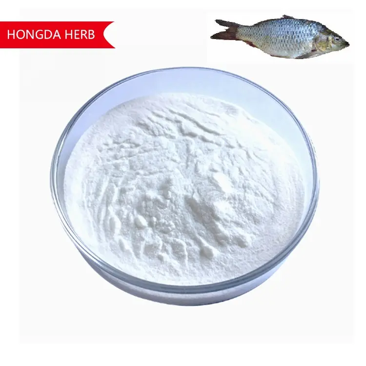 Polvo de péptidos de colágeno marino de pescado hidrolizado al mejor precio para el cuidado de la piel
