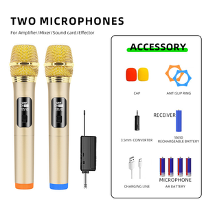 Microfono Wireless Portatile 2.4G a Doppio Canale, Design Dorato, Microfono Senza Fili per KTV, Palco e Feste - Product Image 1