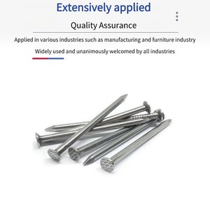 Clavos de Hierro Comunes de Calidad de Exportación de 1 a 6 Pulgadas, Vástago Liso, Grado Estándar Nacional <span class=keywords><strong>para</strong></span> los Mercados de Construcción de Oriente Medio y África - Product Image 3