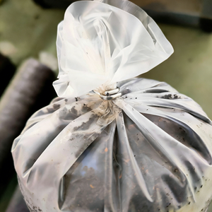 Machine de scellage portable manuelle pour sacs de compost de champignons, 10 <span class=keywords><strong>mots</strong></span>-clés, 30 longueurs totales, type à scellage thermique - Product Image 5