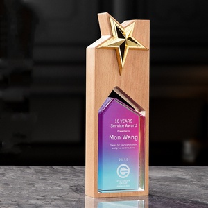 تصميم التخصيص K9 جائزة خشب الكريستال للتعرف على الموظف جوائز نجمة معدنية الكأس - Product Image 6