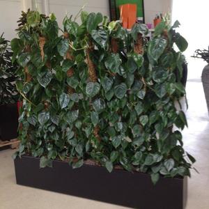 Maceta grande para árboles amarillos, maceta para exteriores de alta calidad para uso doméstico y en el jardín - Product Image 5