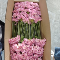 Bunga Hydrangea Buatan dari Lateks Warna Putih Hijau Merah Muda Tua, Buatan Tangan Gaya Eropa, Sentuhan Lembut Realistis, Tahan Lama, untuk Thanksgiving