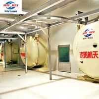 China Xinyang Industriële Commerciële Vacuüm Freeze Droge Mango Aardbei Durian Fruit Machine Prijs