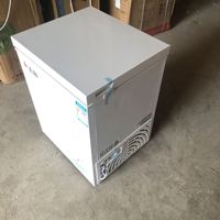 Congélateur horizontal à porte unique de 110 L pour usage domestique et commercial