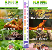 Lampes UVB UVA pour reptiles ShengXiang, nouvelle fabrication, lampe UVB T8, lampe LED pour reptiles