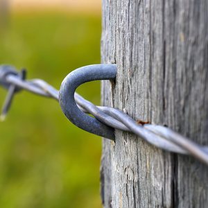 Clous de clôture galvanisés <span class=keywords><strong>en</strong></span> acier au carbone <span class=keywords><strong>en</strong></span> forme de <span class=keywords><strong>U</strong></span> <span class=keywords><strong>pour</strong></span> l'installation de clôtures <span class=keywords><strong>en</strong></span> bois et de grillages métalliques - Product Image 6