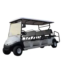 Flexibele Elektrische Smart Golfkar Auto Aangepaste 2/4/6/11 Passenger Zitplaatsen