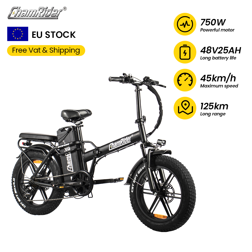 Electric Folding Bike