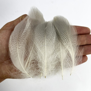 Pluma de pato bronceado natural de un solo proveedor al por mayor para materiales de pesca con mosca y suministros para atado de moscas de trucha - Product Image 3