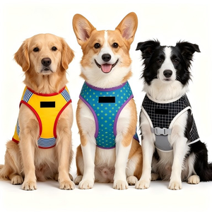 Camiseta para Perro PhoenHorse, Cómoda, con Diseño de Primavera, Adorable, Estilo Moderno, Producción Personalizada por Sublimación, Ropa para Mascotas - Product Image 1