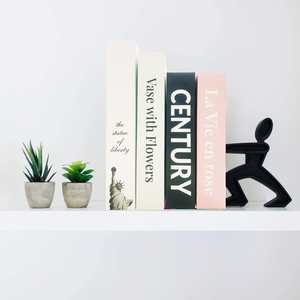 Decoración personalizada para mesa de centro, libros falsos reales ficticios, decoración del hogar, libros para mesa de centro, libros de imitación lisos - Product Image 5