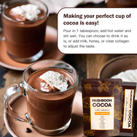 Poudre de chocolat aux champignons de cacao, extrait de 7 champignons, Cordyceps, Reishi, Maitake, corps fructifères, marque privée