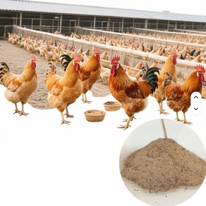 Oligo-éléments organiques Enzymes Vitamines Acides aminés pour poulets de chair Poulet Oeuf de ponte Volaille Vitamines Prémélange alimentaire - Product Image 1