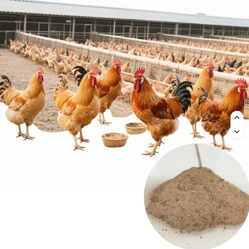 Concentrated Chicken Booster Broiler Growth Chick