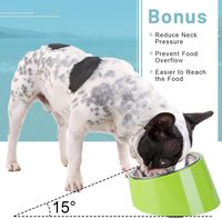 Bol surélevé multi-couleurs en acier inoxydable, pour chien de compagnie, mangeoire pour Slow Food, bol incliné, nouveau Design