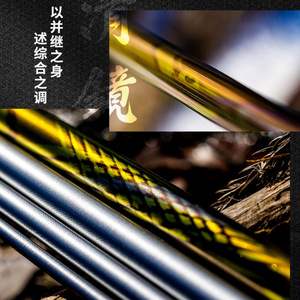 Canne à carpe Daiwa Qingjing série 22, action moyenne rapide, guides SIC, pour la pêche à Taïwan, rivières, lacs, réservoirs, étangs - Product Image 5