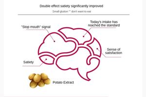 قطع مسحوق بديل للوجبات الباردة المضغوطة من الشركة الأصلية خلاصة نباتية مكمل لفقدان الوزن يمتص الدهون يقلل من كمية الطعام زجاجة الرقبة - Product Image 4