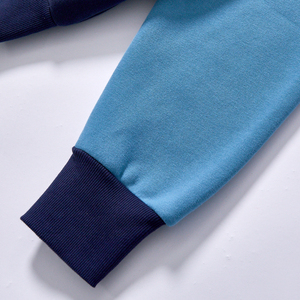 Sweat-shirts et sweats à capuche décontractés pour hommes de haute qualité en coton épais, brodés, vente en gros, vêtements streetwear - Product Image 5