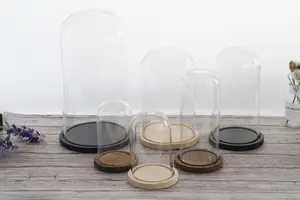 ディスプレイ用中国大販売カスタムメイド透明ガラスドーム卸売