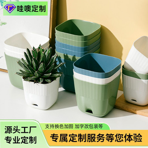 Macetas de Plástico Pequeñas Personalizadas para Suculentas con Orificio de Drenaje para Uso Doméstico, Estilo Moderno, Proceso de Moldeo por Inyección - Product Image 5