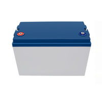 Paket Baterai Penyimpanan Energi 12V 100Ah 200Ah Lifepo4 untuk Sistem Penyimpanan Energi Surya