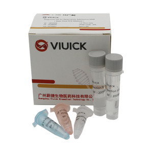 Echtzeit-PCR-Testkit für Garnelen-Enterocytozoon Hepatopenaei (EHP) Veterinärinstrument <span class=keywords><strong>QPCR</strong></span> 48 Tests/Kit ISO13485 Zertifiziert - Product Image 2