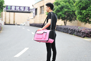 Moda küçük Pet taşıma çantası sevimli EVA katlanır onaylı nefes Pet köpek kedi seyahat taşıyıcısı - Product Image 4