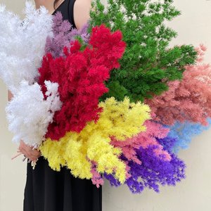 หวายเอิน <span class=keywords><strong>ขาย</strong></span>ดี ดอกรัสคัสสดอบแห้ง-ผู้จัดจำหน่ายขายส่งสำหรับวันวาเลนไทน์ งานแต่งงาน และของขวัญตกแต่งวันหยุด - Product Image 1