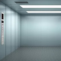 Prix bon marché d'ascenseur de fret de taille d'ascenseur de taille d'ascenseur de fret fixé au mur de 300 Kg